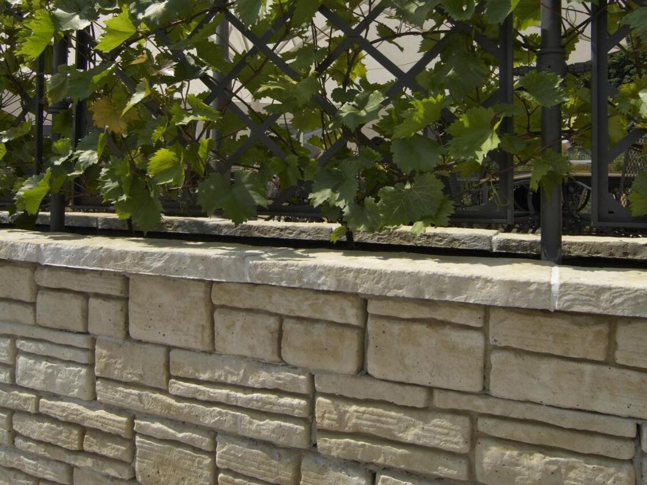 Gartenmauer Sandstein mit Efeu
