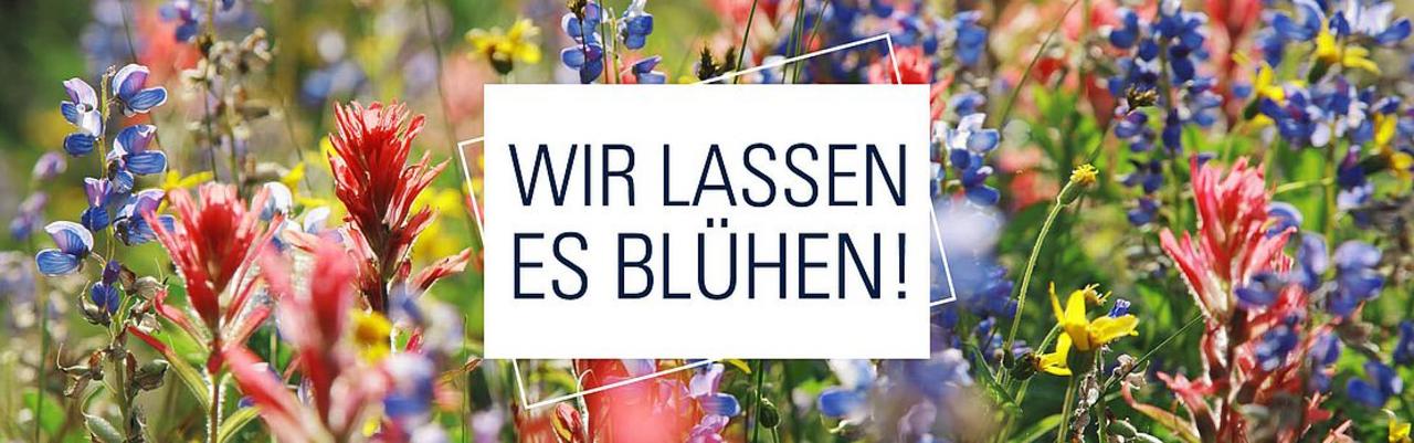 Blumenwiese mit Schriftzug "Wir lassen es blühen"