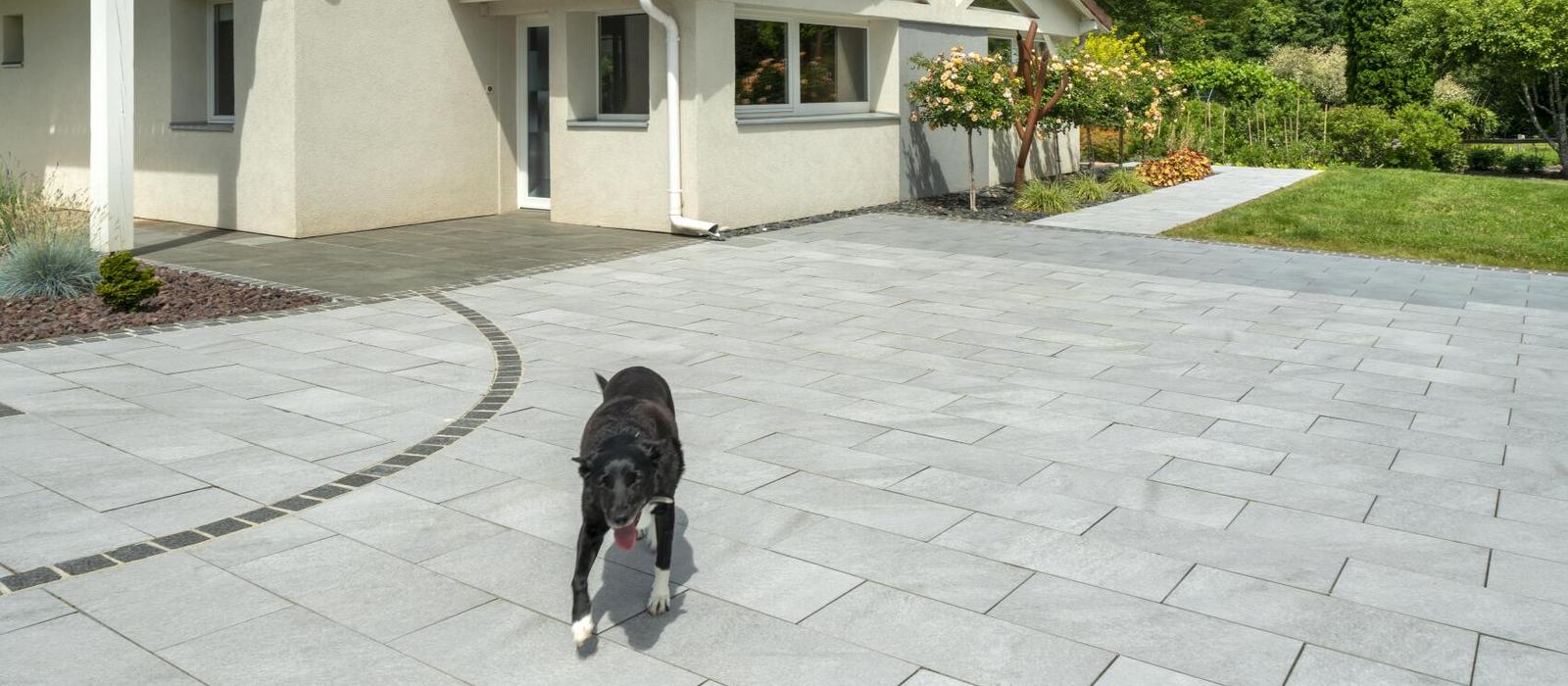 Vorgarten mit Terrassenplatten und Hund